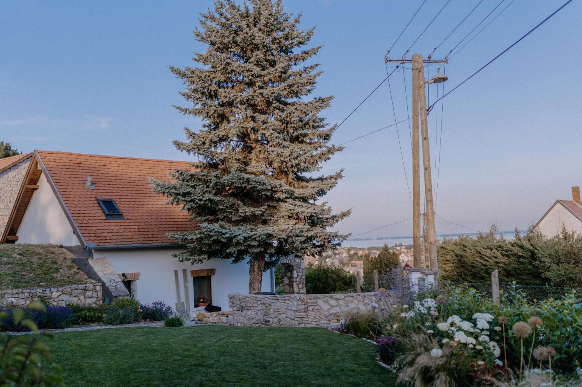 Panorama Vine House Apartment Balatonfured Exterior photo